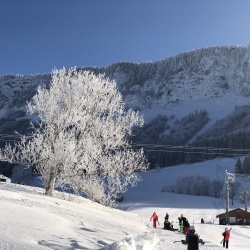Vercors