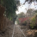 Maadi - La ligne de chemin de fer militaire qui traverse Maadi