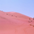 Erfoud - Dunes de sble
