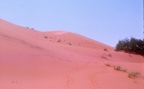 Erfoud - Dunes de sble