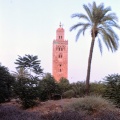 Marrakesh - Koutoubia